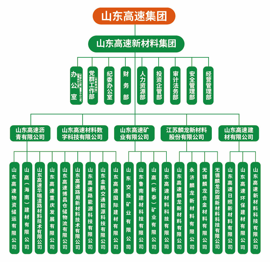 山东高速新材料集团有限公司组织架构图